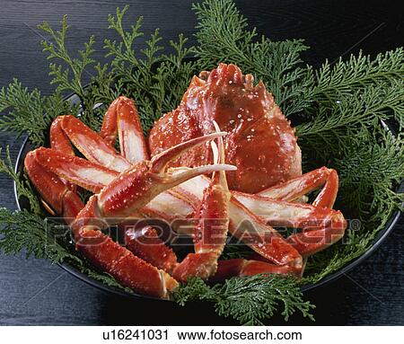 Stock Image - Snow Crab. Fotosearch