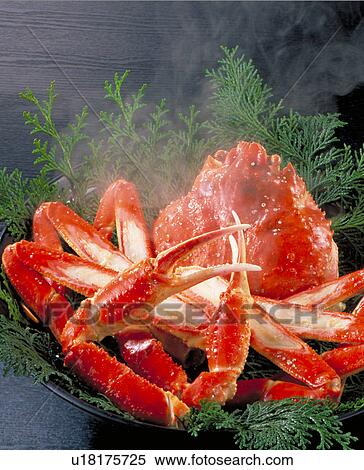 Stock Photography - Snow Crab. Fotosearch