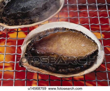 Stock Photo - Steak Of Abalone. Fotosearch