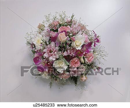 Table Flower View Large Photo Image Stock Image - Table Flower. Fotosearch