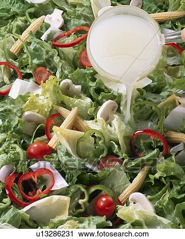 Vegetable Salad, French White, View Large Photo Image Stock Image - Vegetable Salad, French White,. Fotosearch