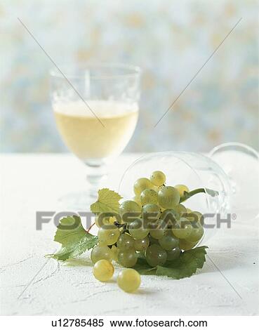 White Wine, Chardonnay View Large Photo Image Stock Photography - White Wine, Chardonnay. Fotosearch