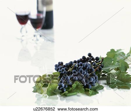 Wine, Cabernet Sauvignon View Large Photo Image Stock Image - Wine, Cabernet Sauvignon. Fotosearch