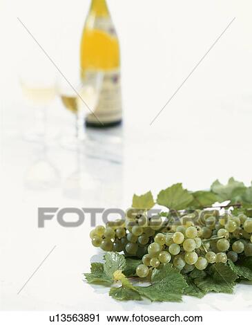 Wine, Chardonnay, View Large Photo Image Stock Image - Wine, Chardonnay,. Fotosearch