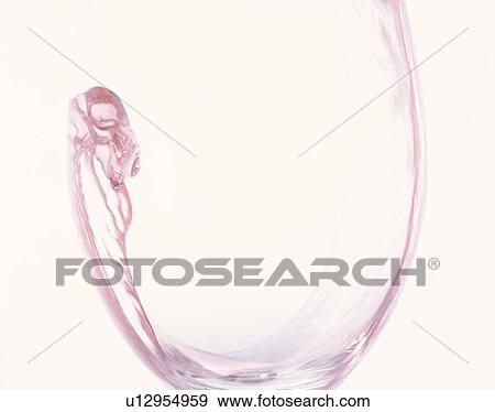Wine View Large Photo Image Stock Photo - Wine. Fotosearch