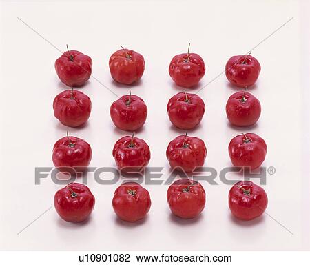 Acerola View Large Photo Image Stock Image - Acerola. Fotosearch