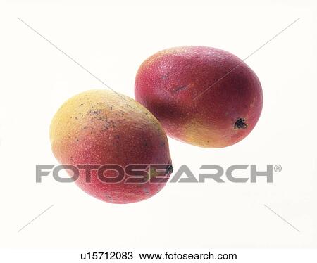 Stock Image - Apple Mango. Fotosearch