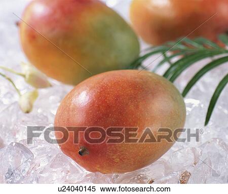 Stock Photography - Apple Mango. Fotosearch