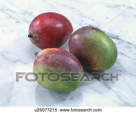 Apple Mango View Large Photo Image Stock Photography - Apple Mango. Fotosearch