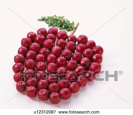 Stock Photo - Apple, Princess,. Fotosearch