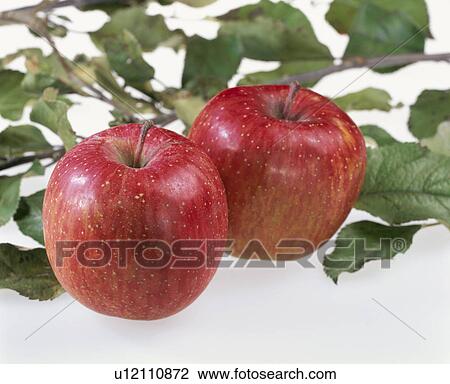 Stock Image - Apple. Fotosearch