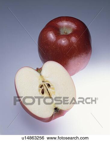 Stock Photograph - Apple. Fotosearch