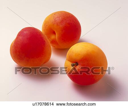 Picture - Apricot. Fotosearch