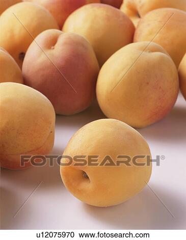 Stock Image - Apricot. Fotosearch