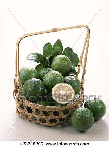 Aromatic Citron, Kabosu View Large Photo Image Stock Image - Aromatic Citron, Kabosu. Fotosearch