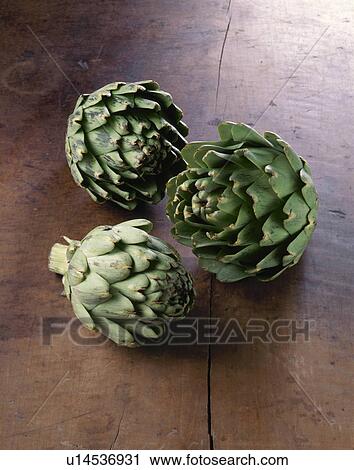 Artichoke View Large Photo Image Stock Image - Artichoke. Fotosearch