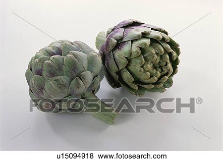 Artichoke View Large Photo Image Stock Photo - Artichoke. Fotosearch