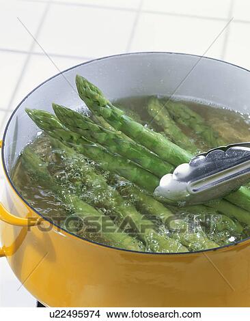 Picture - Asparagus. Fotosearch