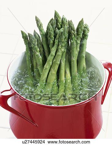 Picture - Asparagus. Fotosearch