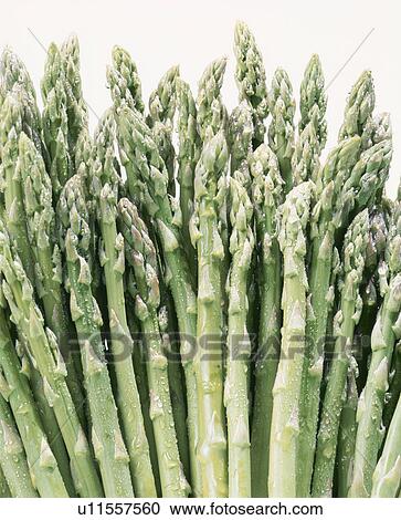 Stock Image - Asparagus. Fotosearch