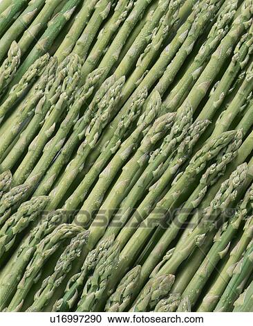 Stock Image - Asparagus. Fotosearch