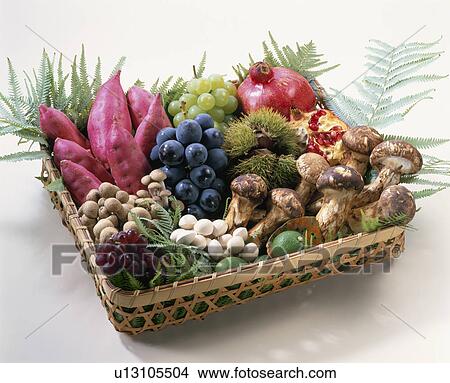 Autumn Material Set View Large Photo Image Picture - Autumn Material Set. Fotosearch