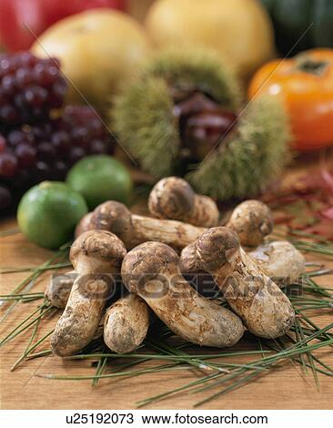 Autumn Material Set View Large Photo Image Stock Image - Autumn Material Set. Fotosearch
