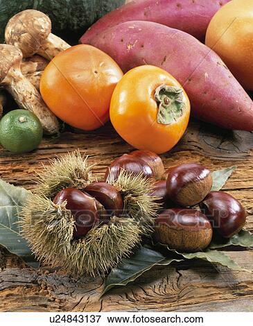 Autumn Material Set View Large Photo Image Stock Photo - Autumn Material Set. Fotosearch