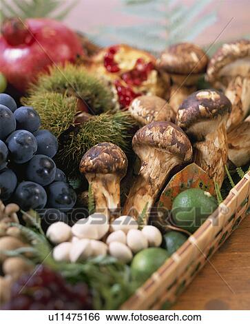 Stock Photograph - Autumn Material Set. Fotosearch