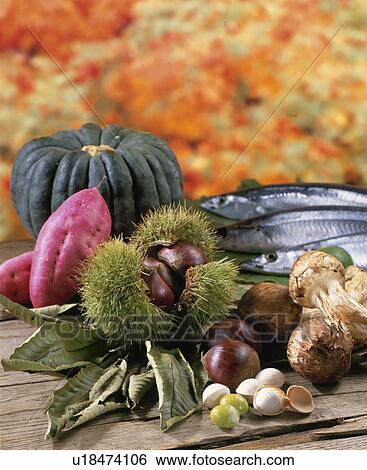 Autumn Material Set View Large Photo Image Stock Photograph - Autumn Material Set. Fotosearch