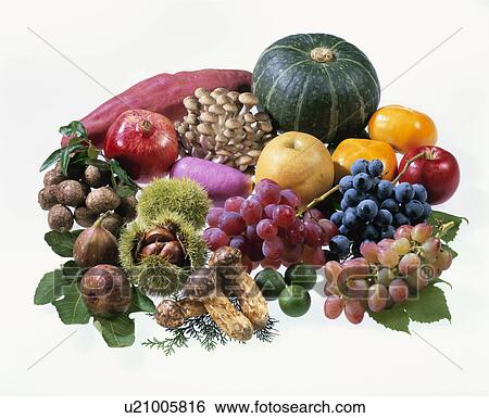 Stock Photograph - Autumn Material Set. Fotosearch