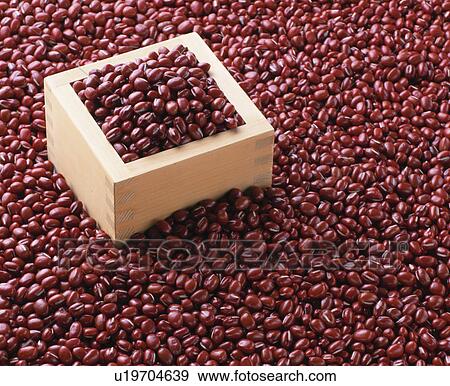 Azuki Bean View Large Photo Image Stock Photo - Azuki Bean. Fotosearch