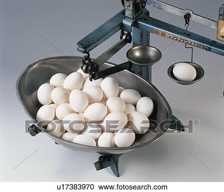 Balance, Egg View Large Photo Image Stock Image - Balance, Egg. Fotosearch