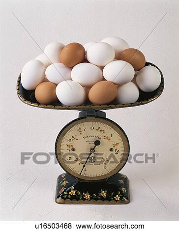 Balance, Egg View Large Photo Image Stock Photo - Balance, Egg. Fotosearch