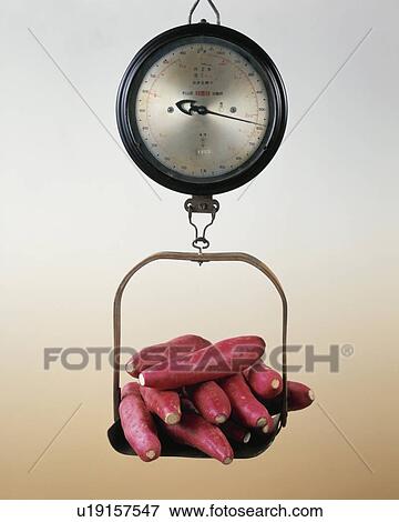 Balance, Sweet Potato View Large Photo Image Stock Photo - Balance, Sweet Potato. Fotosearch