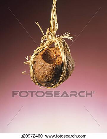 Stock Image - Bean Paste Ball. Fotosearch
