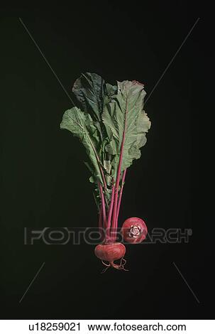 Stock Image - Beet. Fotosearch