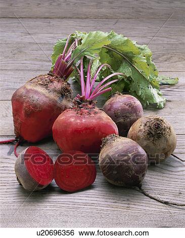 Beet View Large Photo Image Stock Photograph - Beet. Fotosearch