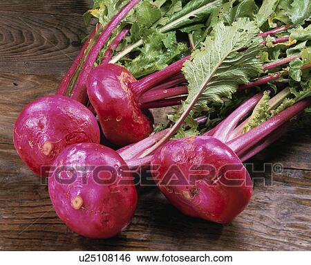 Stock Photograph - Beet. Fotosearch