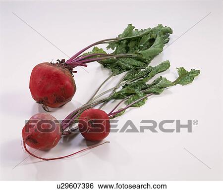 Stock Photograph - Beet. Fotosearch