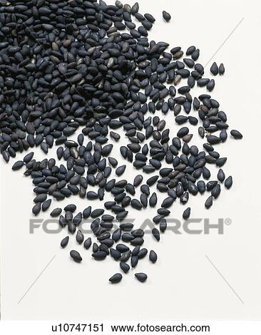 Stock Image - Black Sesame. Fotosearch