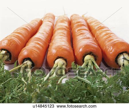 Carrot View Large Photo Image Stock Image - Carrot. Fotosearch
