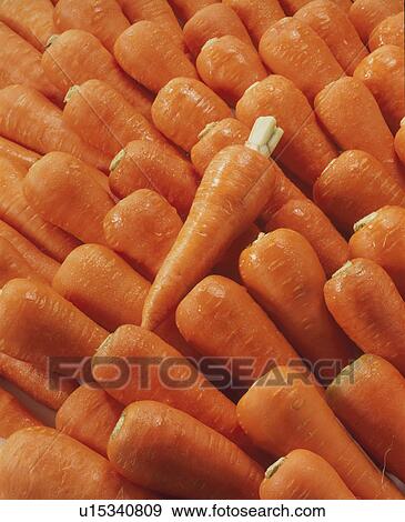 Stock Photo - Carrot. Fotosearch