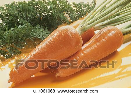 Stock Photo - Carrot. Fotosearch