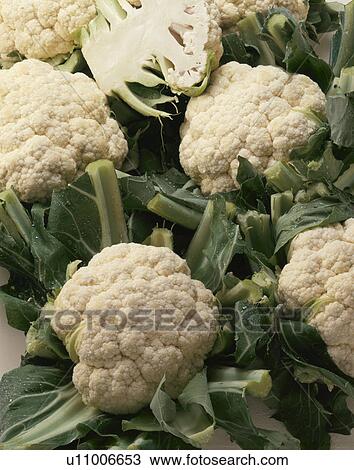 Stock Image - Cauliflower. Fotosearch