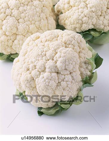 Cauliflower View Large Photo Image Stock Image - Cauliflower. Fotosearch