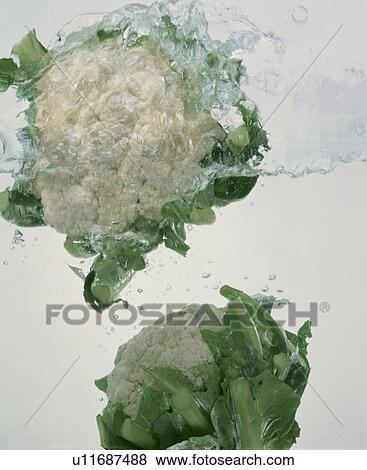 Cauliflower View Large Photo Image Stock Photo - Cauliflower. Fotosearch