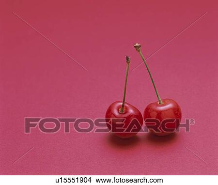 Picture - Cherry. Fotosearch