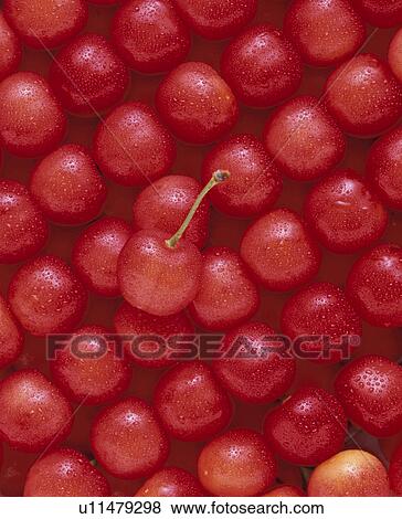 Cherry View Large Photo Image Stock Photo - Cherry. Fotosearch