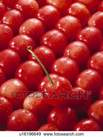 Cherry View Large Photo Image Stock Photo - Cherry. Fotosearch